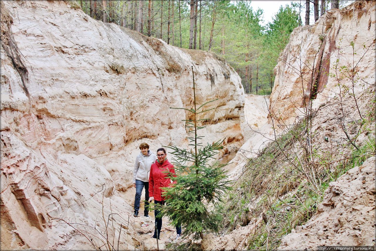 Малый Лужский каньон или История обычного лесного ручья Луга, Россия