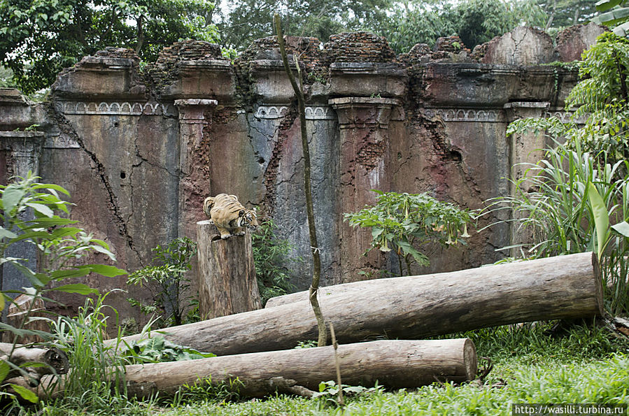 Засада. Засада.