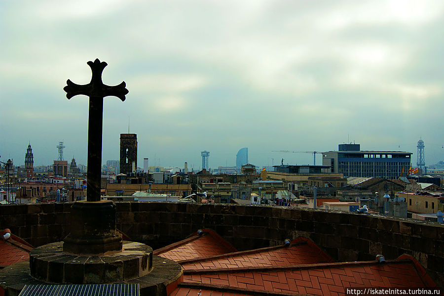 Вид с Catedral de Barcelona Барселона, Испания
