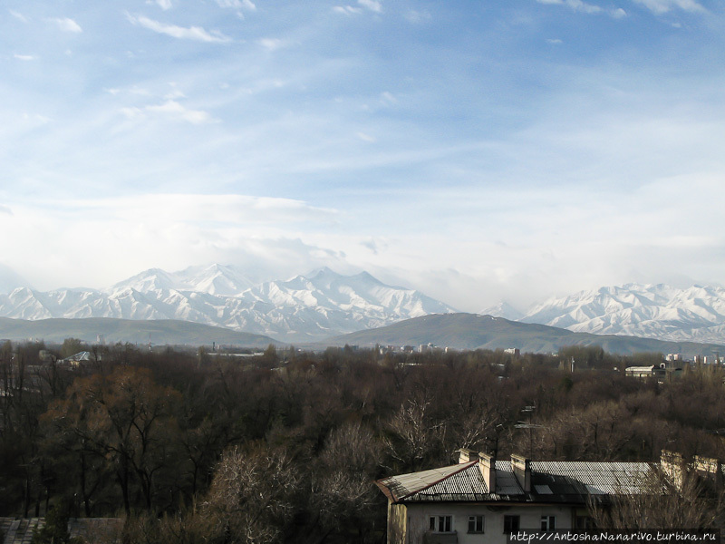 Вид на горы. Бишкек, Киргизия