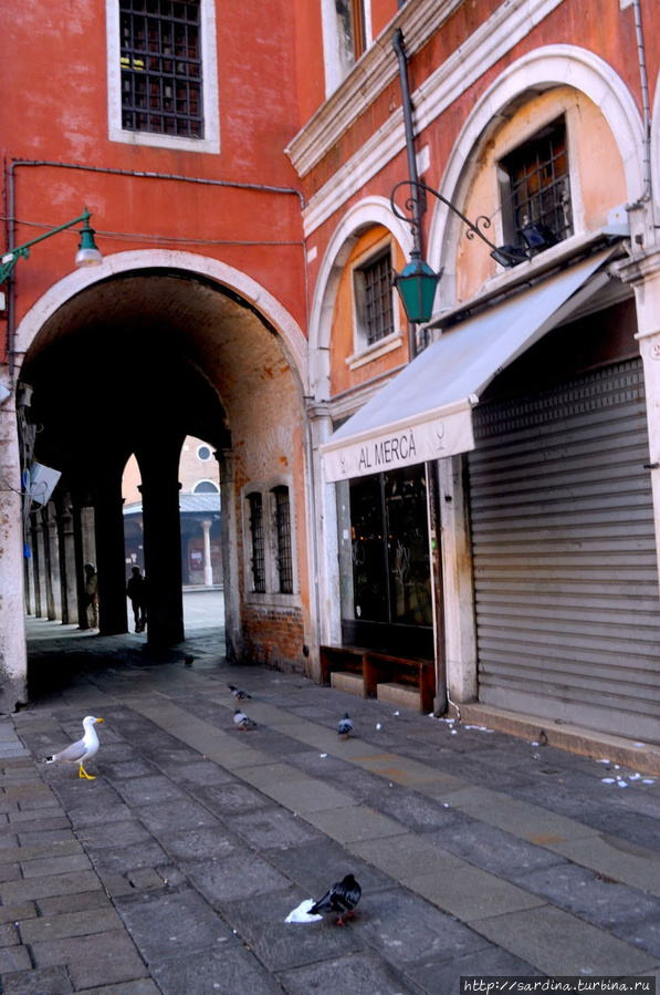 Венецианские таверны Италия