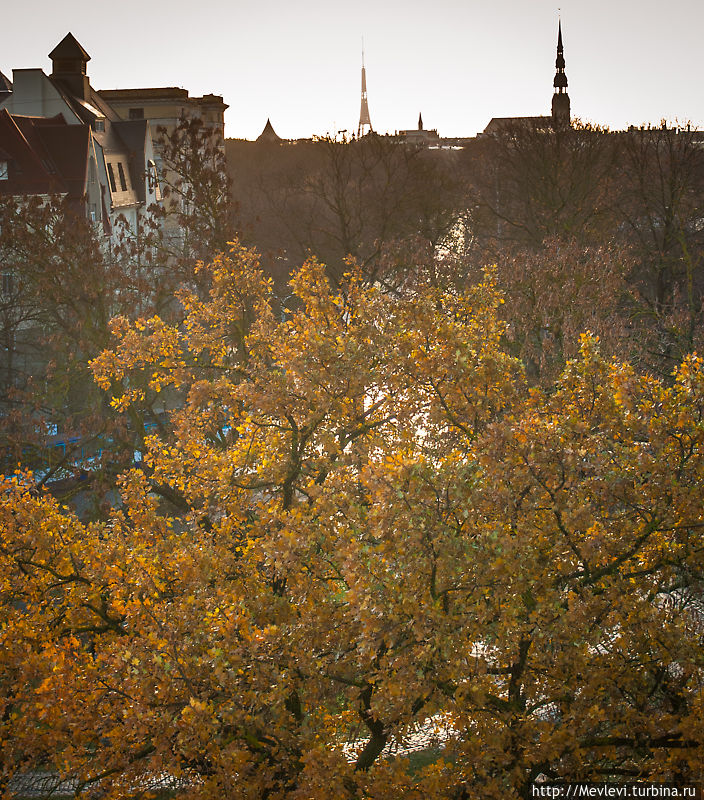 Красивая осень, красивый рассвет над Ригой Рига, Латвия