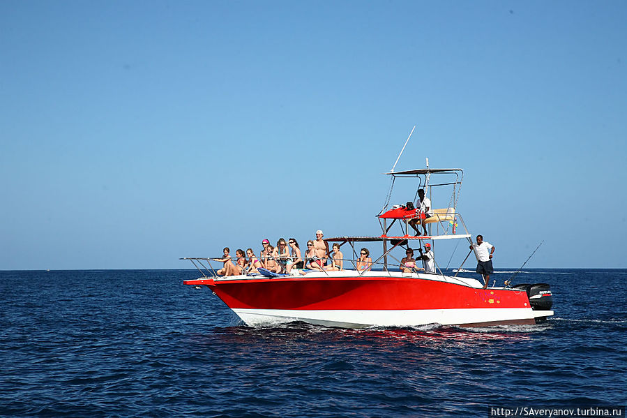 А где дронт? Блю-Бей, Маврикий А где дронт? Блю-Бей, Маврикий