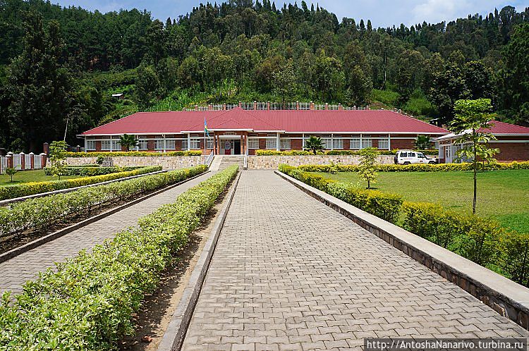 Это, насколько помню, больница Это, насколько помню, больница