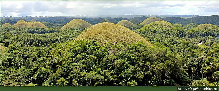 В долине насчитывается более полутора тысяч холмов Остров Бохол, Филиппины
