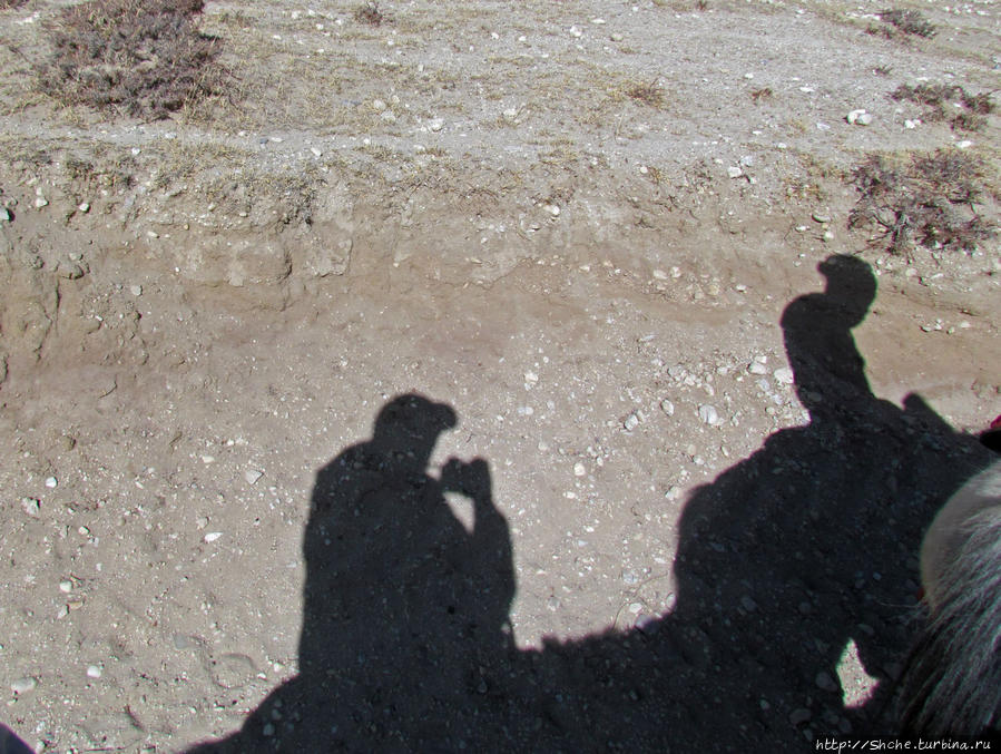 С практикой селфи я не сильно знаком, потому решил сфотографировать собственную тень:)) Чосер, Непал