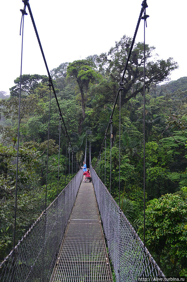 Мосты в облаках Аренал, Коста-Рика