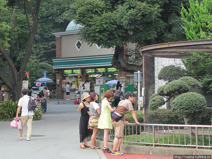 Зоопарк Уэно. Третья часть Токио, Япония