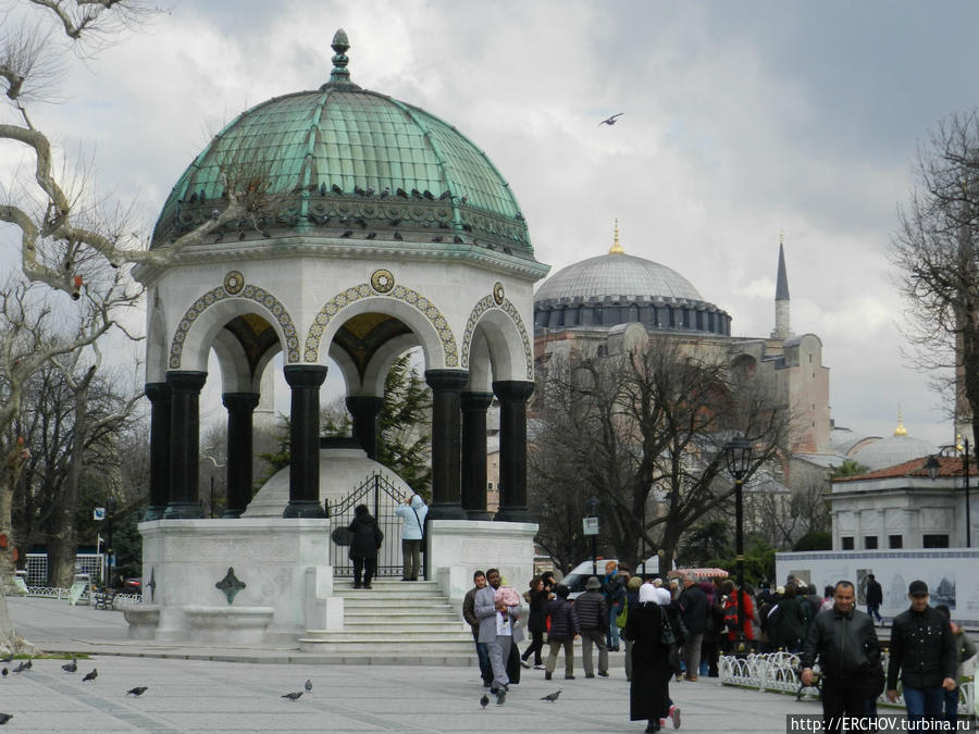 Покормил голубей — отдавай 5 лир Стамбул, Турция