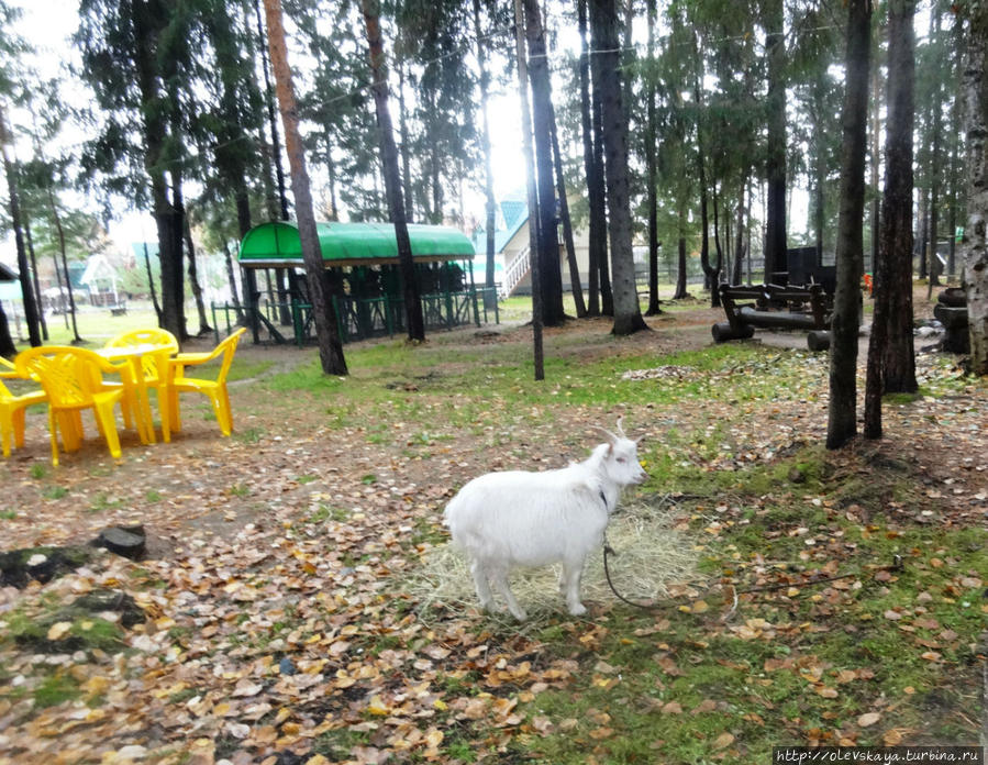 Экзопарк Ананьино, Россия