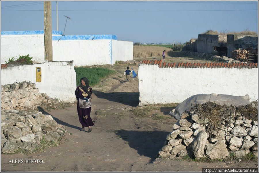 Заглянем в деревушку. Здесь — своя неспешная арабская жизнь...
* Эль-Джадида, Марокко