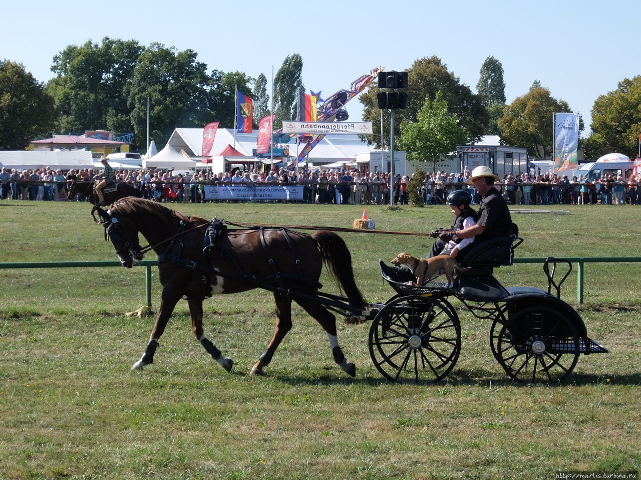 Баба з возу — кобыле легше Фишбах, Германия Баба з возу — кобыле легше Фишбах, Германия