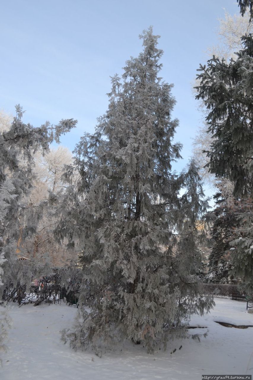 Городской парк культуры и отдыха 