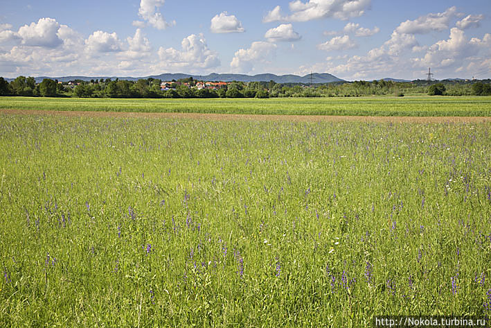 Окрестности Добовы Окрестности Добовы