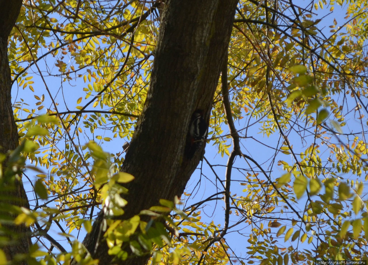 Любимое место отдыха генералов в Крыму Партенит, Россия Любимое место отдыха генералов в Крыму Партенит, Россия