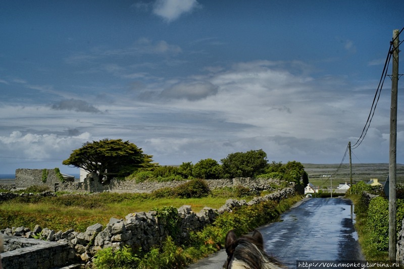 Человек Из Арана. Остров Инишмор, Ирландия