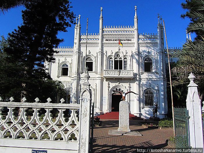 Музей Естественной Истории Музей Естественной Истории