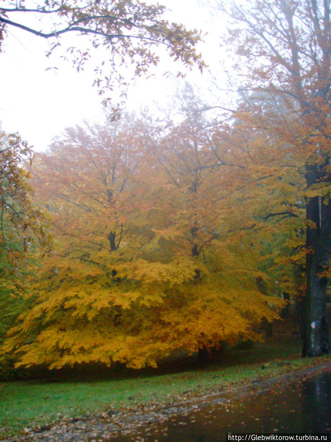 Książ Park Валбжих, Польша