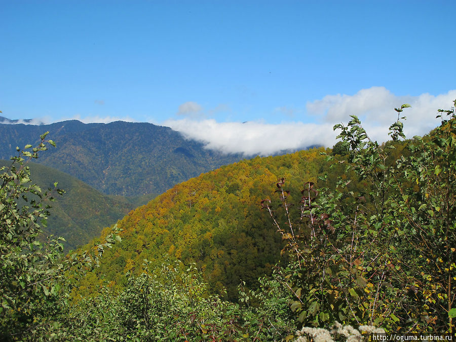 Осень на высокогорье Норикура Префектура Нагано, Япония