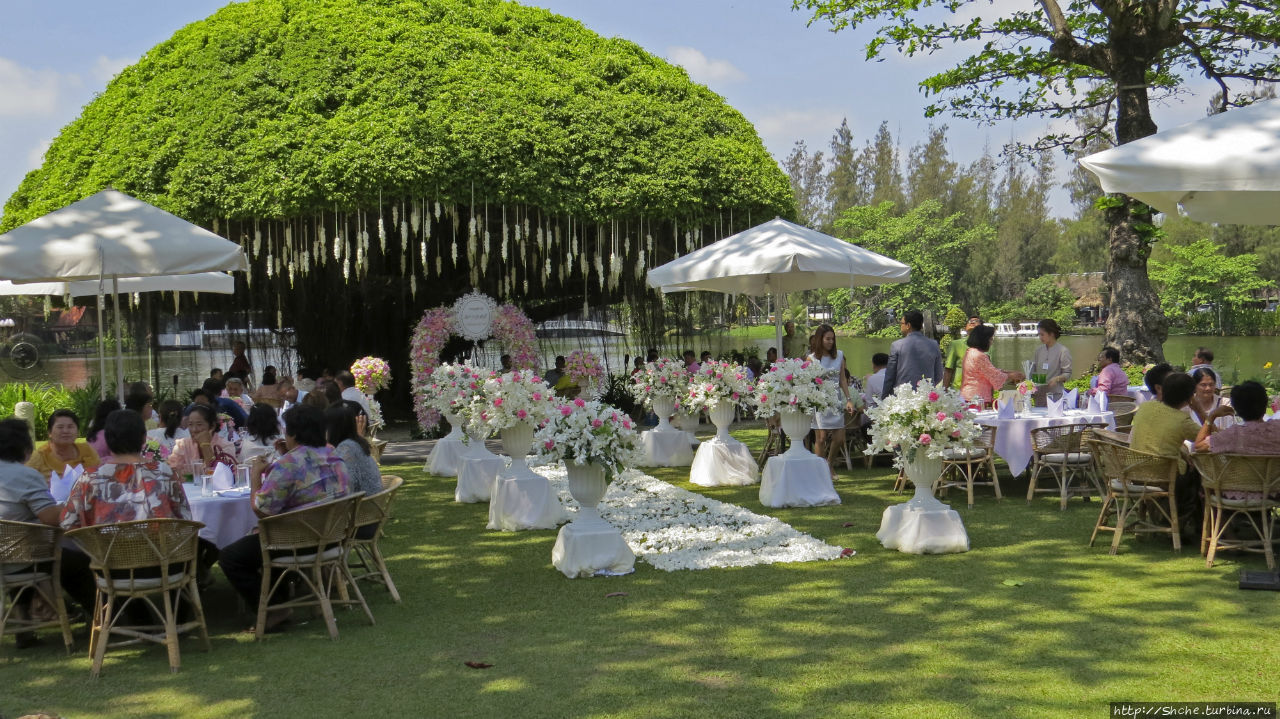 Люблю рассматривать чужих невест. Фальш-старт по-тайски Таиланд Люблю рассматривать чужих невест. Фальш-старт по-тайски Таиланд