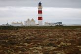 Моя цель — самая северная точка острова — маяк на Point of Ayre. Сам маяк посетить нельзя, но вокруг красивая природа.
