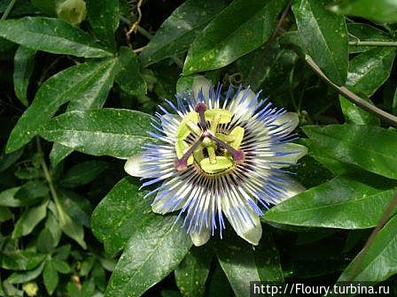 Снова индустриальный город. Снова ботсад Донецк, Украина Снова индустриальный город. Снова ботсад Донецк, Украина