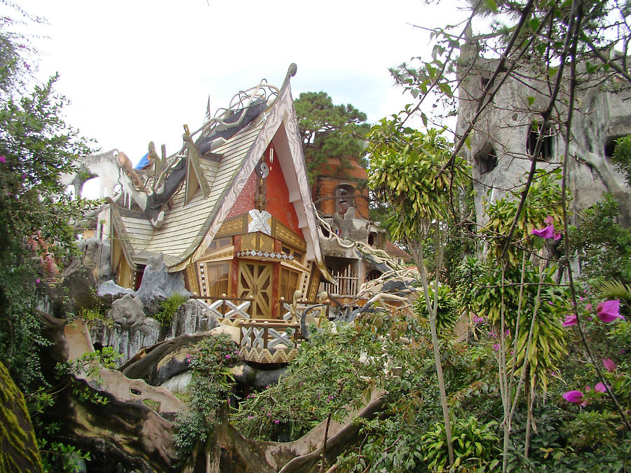 Пенек и лабиринт кишечника Далат, Вьетнам Пенек и лабиринт кишечника Далат, Вьетнам