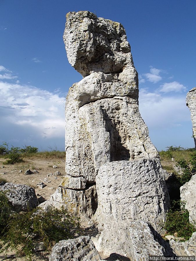 Большой трон поостерегитесь назвать унитазом Варненская область, Болгария