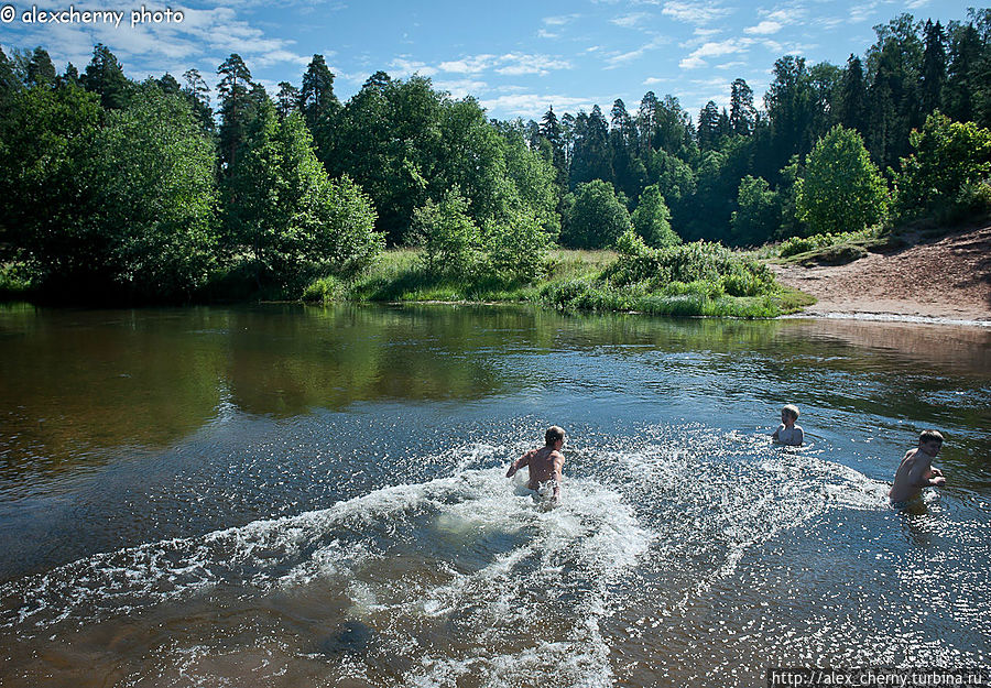 Хорошо искупаться в летнюю жару в речке Оредеж Хорошо искупаться в летнюю жару в речке Оредеж