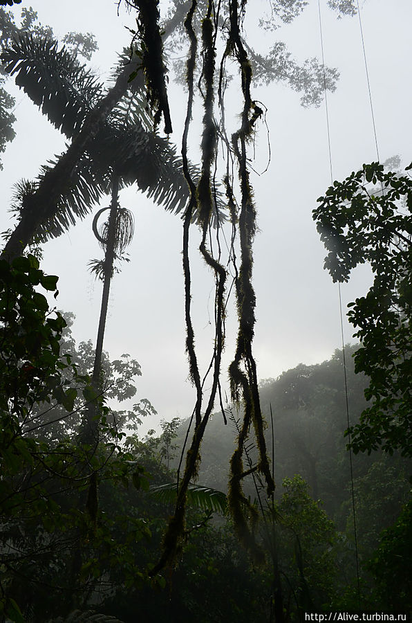 пропеллер над головой Аренал, Коста-Рика