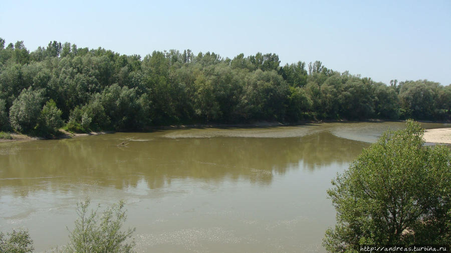 Река Тиса Румыния