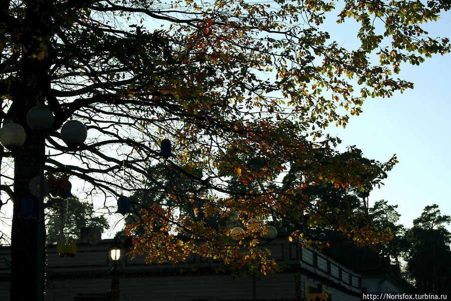 и обратно и обратно