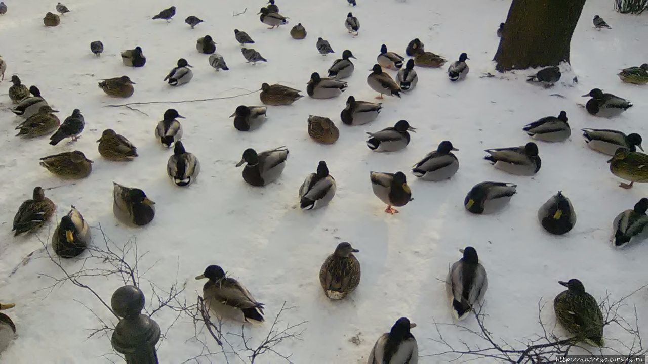 Морозная прогулка по Варшаве Варшава, Польша Морозная прогулка по Варшаве Варшава, Польша