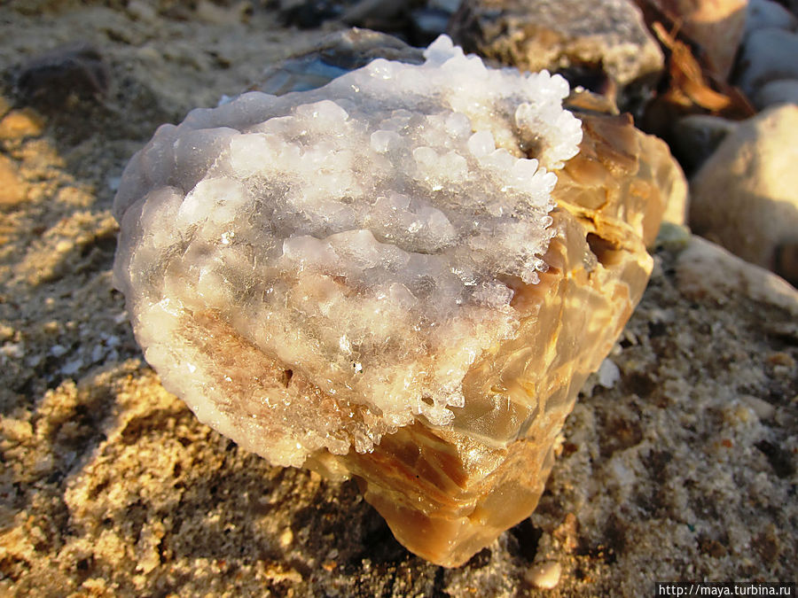 Где мое ваше море? Где мое ваше море?