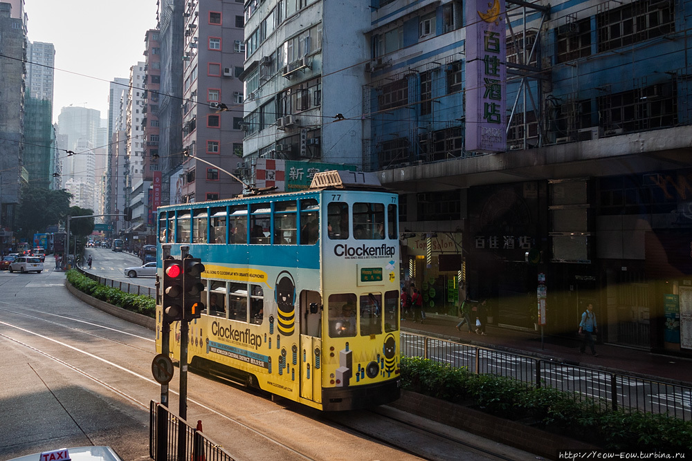 Эскалаторы, трамваи и вечерний Гонконг. Остров Гонконг, Гонконг