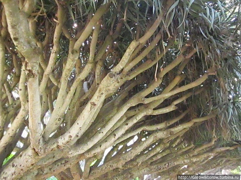 Прогулка по Рабату Рабат, Марокко Прогулка по Рабату Рабат, Марокко