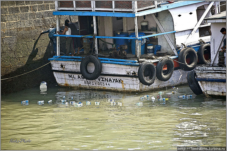 Почему-то индийцы привыкли мусорить везде. А вот нам как-то трудно привыкнуть относиться к этому спокойно...
* Почему-то индийцы привыкли мусорить везде. А вот нам как-то трудно привыкнуть относиться к этому спокойно...
*