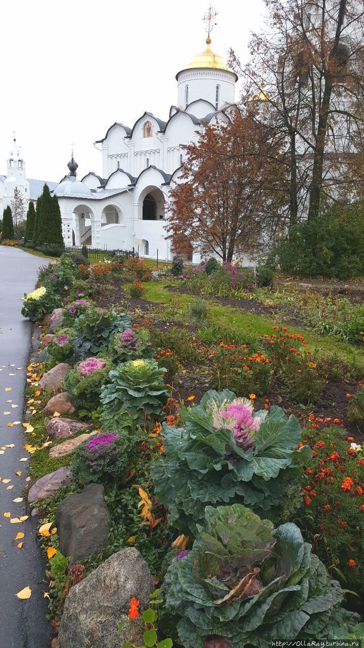 В монастырском дворе Суздаль, Россия