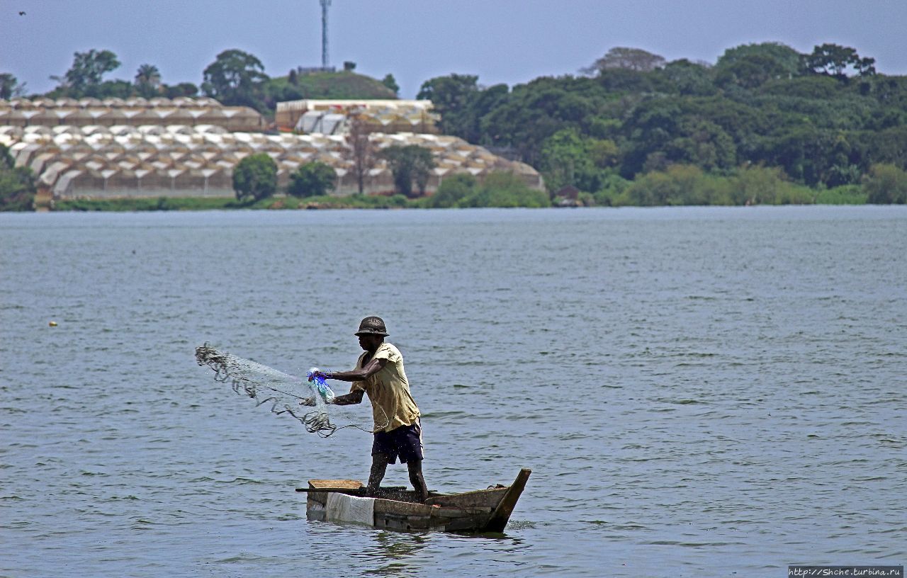 Озеро Виктория из Энтеббе Энтеббе, Уганда Озеро Виктория из Энтеббе Энтеббе, Уганда