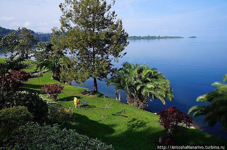 Пляж у отеля Пляж у отеля