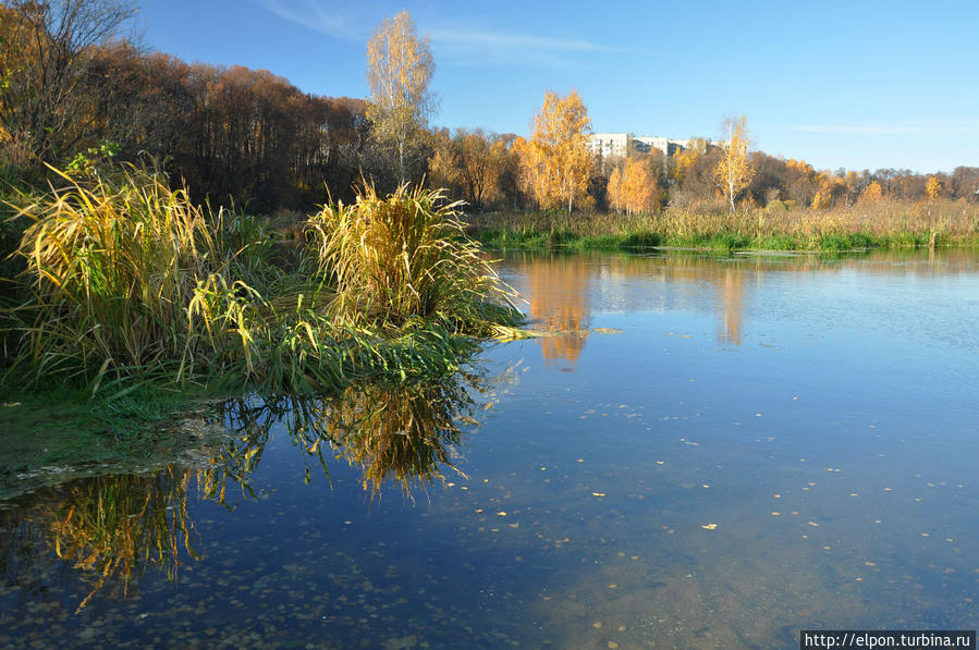 Осень. Клязьма