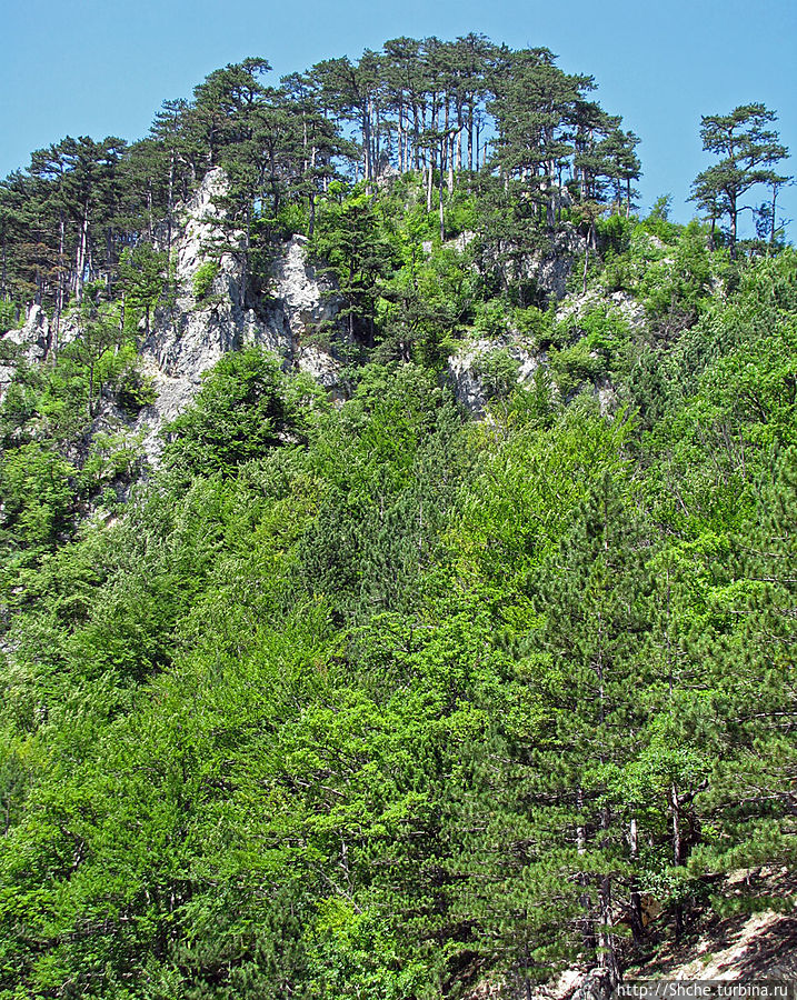 Природа национального парка Дурмитор, Черногория Национальный парк Дурмитор, Черногория