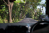 главные качества балийских дорог: они очень живописные и очень узкие