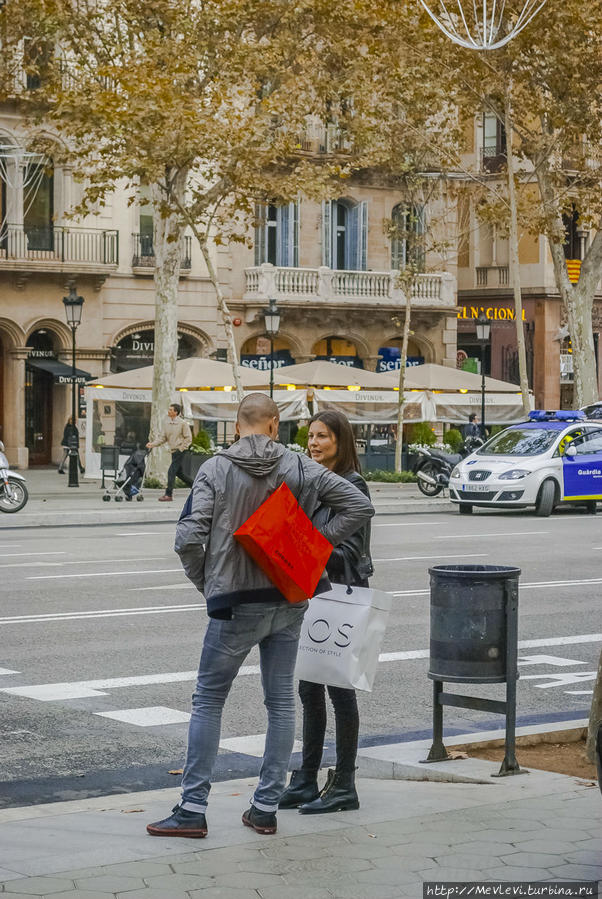 Там, где мандарины растут Барселона, Испания Там, где мандарины растут Барселона, Испания
