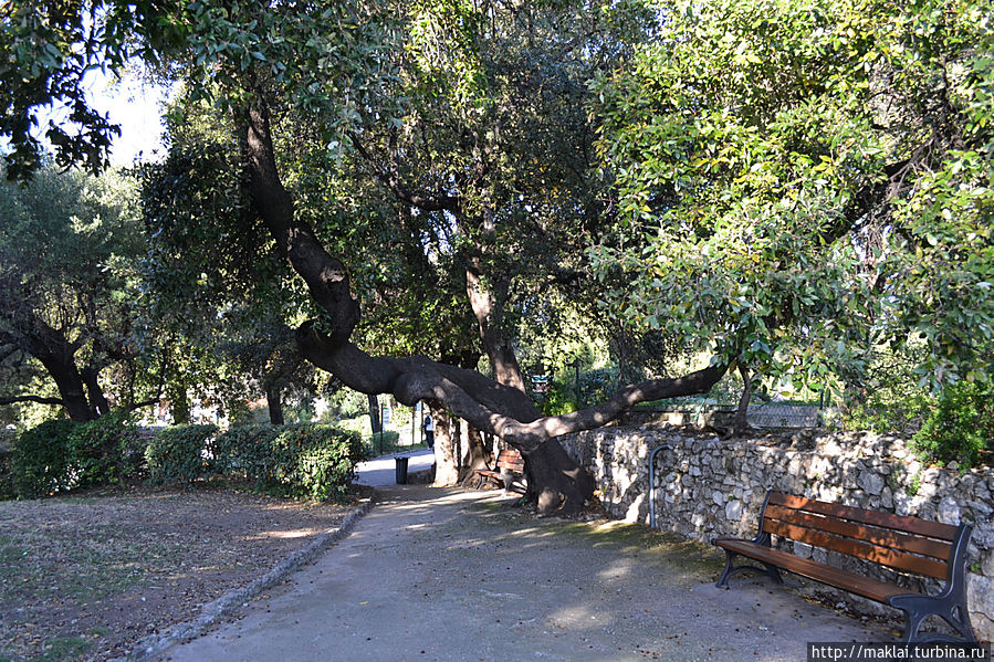 Парк Шато. Парк Шато.