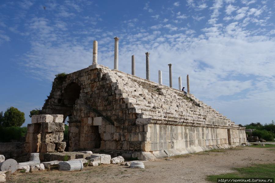 Ипподром в Тире Ливан Ипподром в Тире Ливан