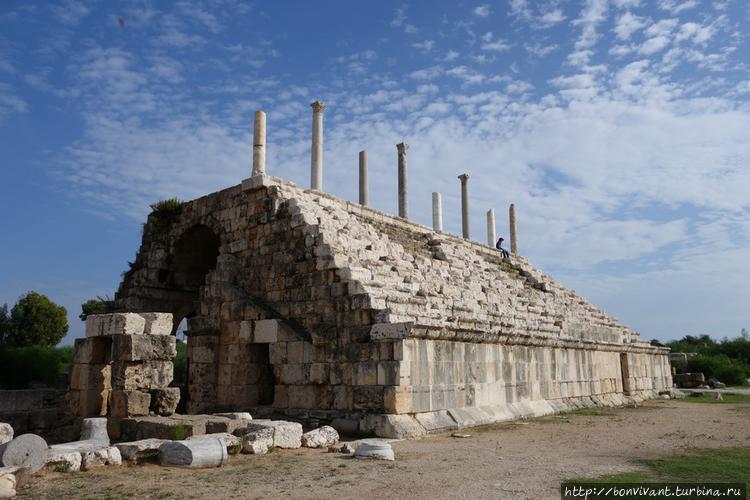 Ипподром в Тире Ипподром в Тире