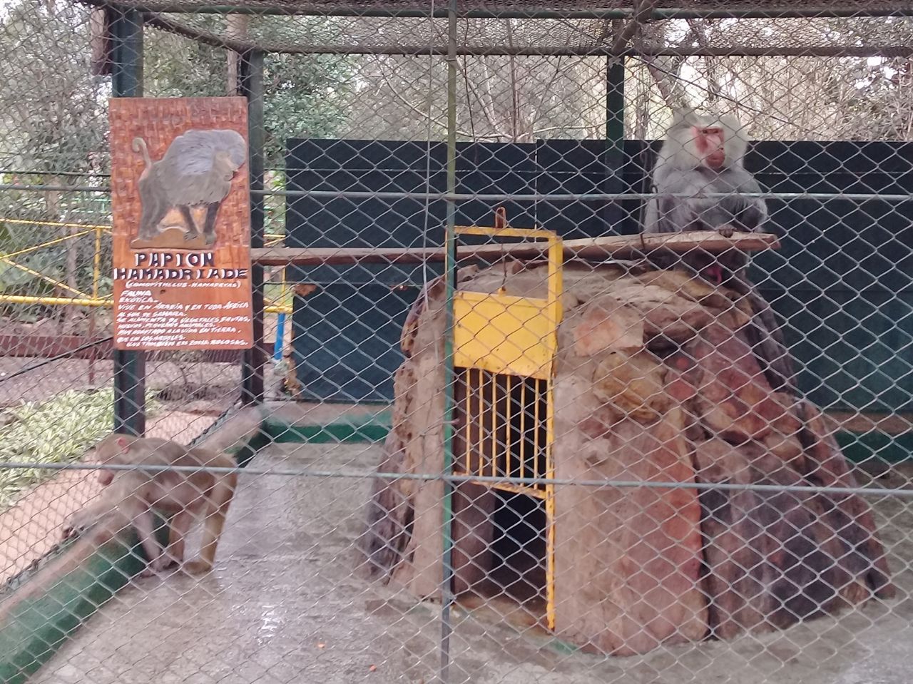 Муниципальный зоопарк Сальто, Уругвай