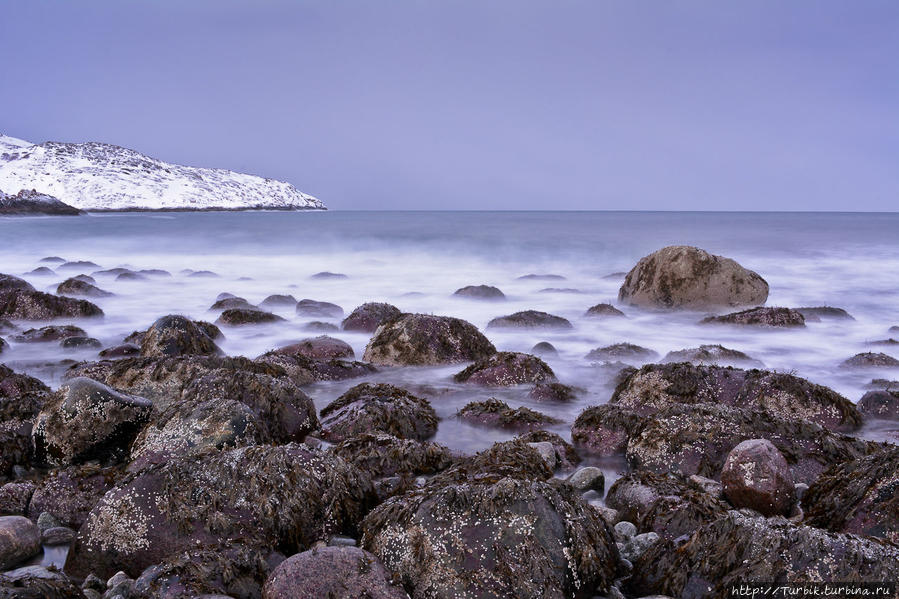 один из каменных пляжей Териберской губы Териберка, Россия