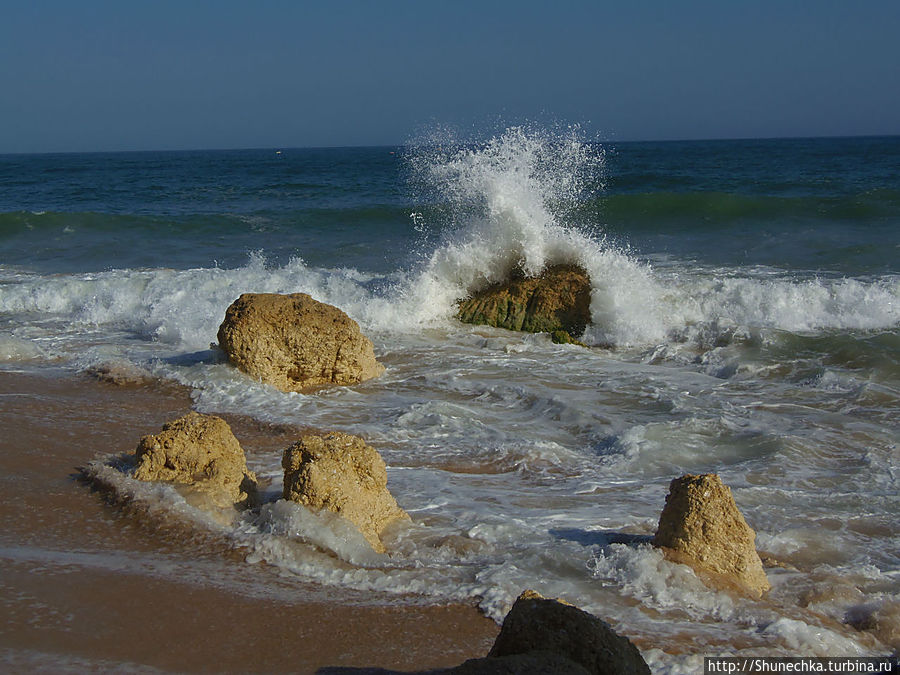 Каждая новая волна делает свою  прическу этому камню. Вот, например, ирокез. Албуфейра, Португалия